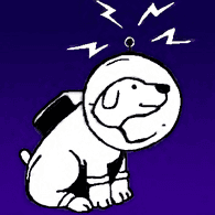 UNDOG emblem