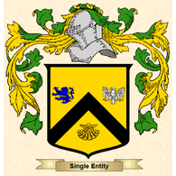 NTITY emblem