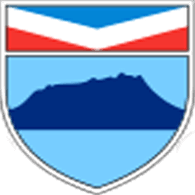 BAD emblem