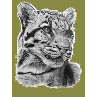 TW_LC emblem
