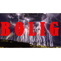 BOLIG emblem