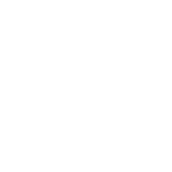 YLR emblem