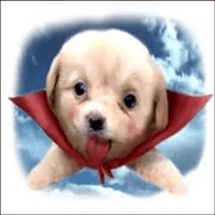 RGE emblem