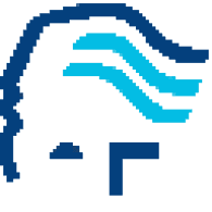 BLU emblem