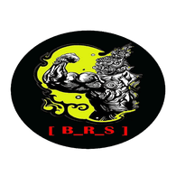 B_R_S emblem