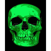 PYTON emblem