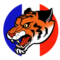 LTIE emblem