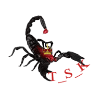 T-S_K emblem