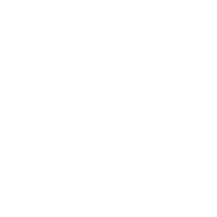 PLYRN emblem
