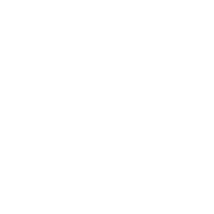 193 emblem