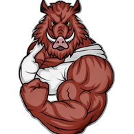 K4BAH emblem