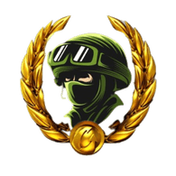 SONT emblem