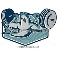 VSC-K emblem