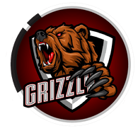 G_ZLY emblem