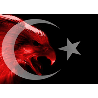AYLDZ emblem