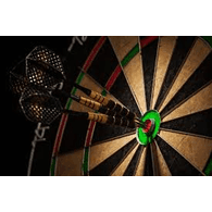 DART emblem