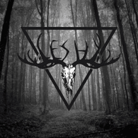 _LAS_ emblem