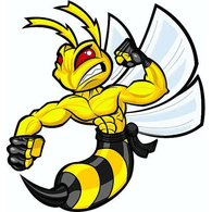 H1VE emblem