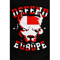DE-DK emblem