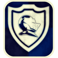 NTDM emblem