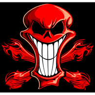ST-13 emblem