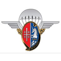 1RCF emblem