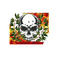 SKOF emblem