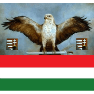 TIID emblem