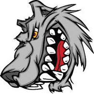 RWCZ emblem