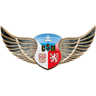 -1CSM emblem