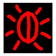 RAPO emblem