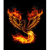 Z_F emblem