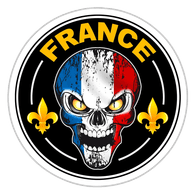 _SAF emblem