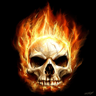 F3 emblem