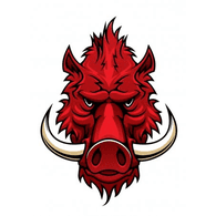 DZ-E emblem