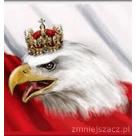 O-R-S emblem