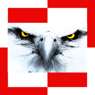 -AQA- emblem