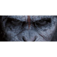 MONKE emblem
