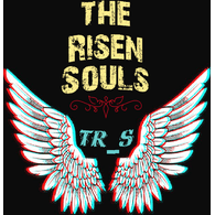 TR_S emblem