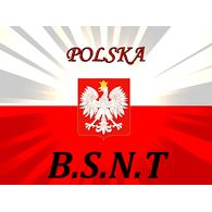 BSNT emblem