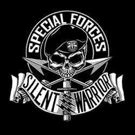 DSO emblem