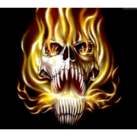 DKS17 emblem