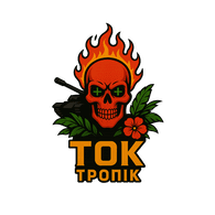 T_O_K emblem