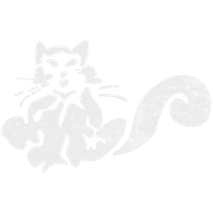BOY-S emblem