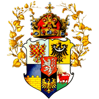 1DCSR emblem