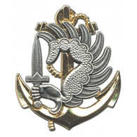 T_L_C emblem