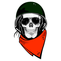 DVRX emblem