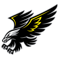TEAM5 emblem