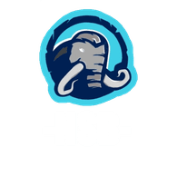 -NSB- emblem