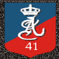 -41- emblem